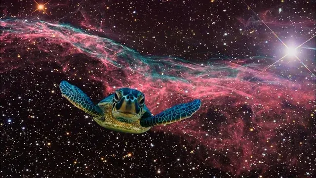 Applied Case: The Simulation Theory