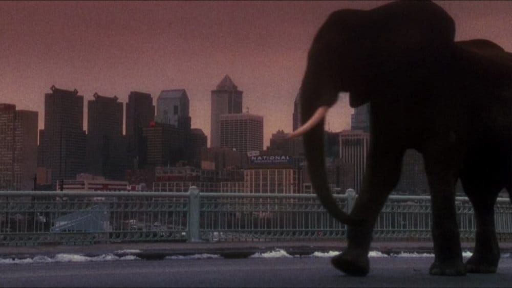 Applied Case: Twelve Monkeys (1995)
