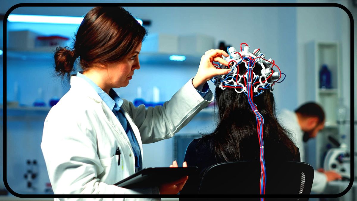 Applied Case: The Category Goes In the Brain