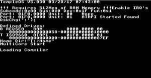Applied Case: The TempleOS