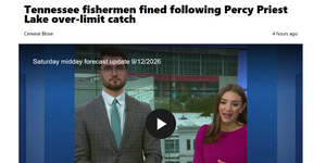 Applied Case: The Fifth Fish