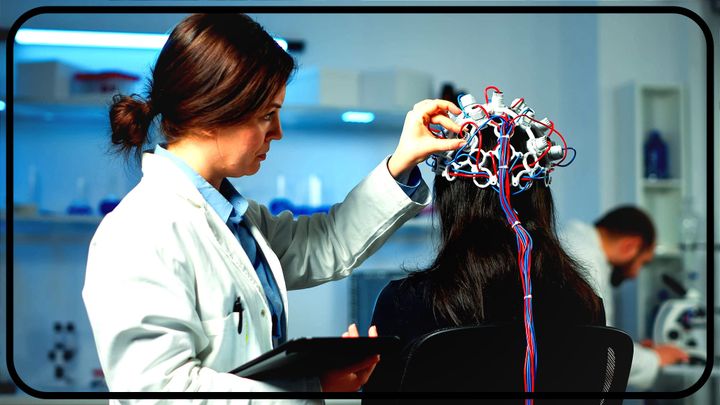 Applied Case: The Category Goes In the Brain