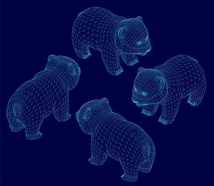 Applied Case: The Great Zoo Entrance Incident