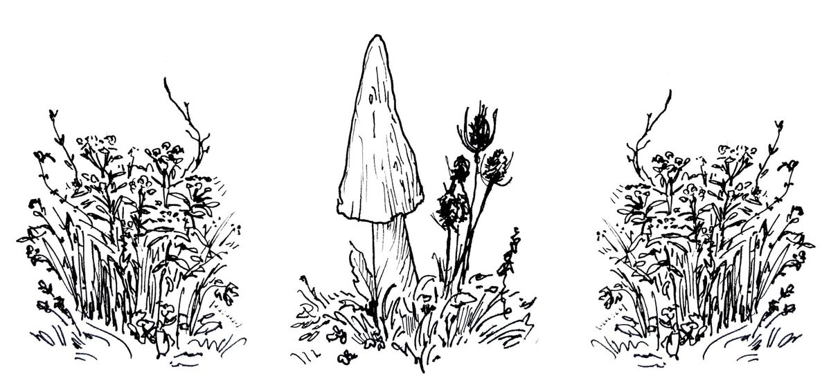 Go Slow to Go Fast: Trans Health Torah