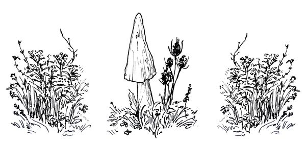 Go Slow to Go Fast: Trans Health Torah