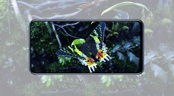 Honor View 20 - Top 5 Features