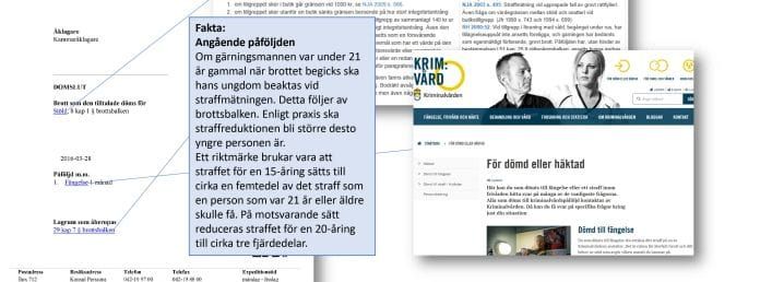 Domstolsverket utvecklar interaktiva avgöranden