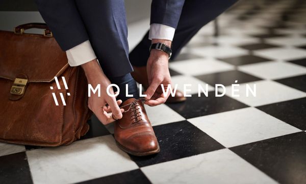 Moll Wendén enda nordiska byrån i ny AI-allians