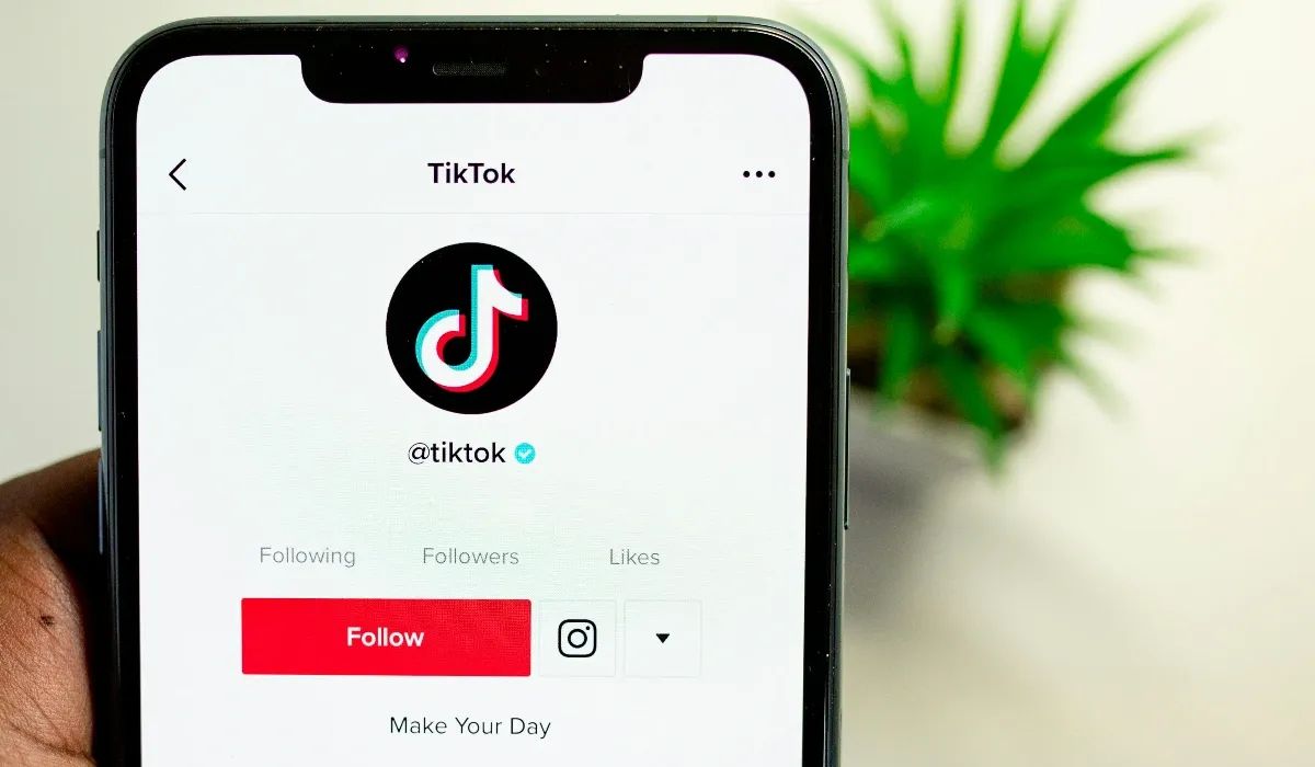 Top TikTok Stars to Follow on OnlyFans
