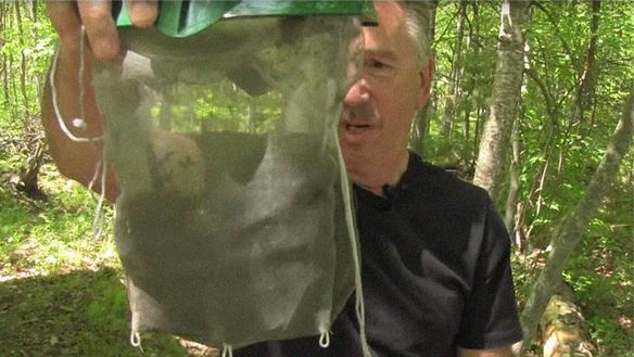 New Products and Offers from ThermaCell That Are Too Big To Miss Out On