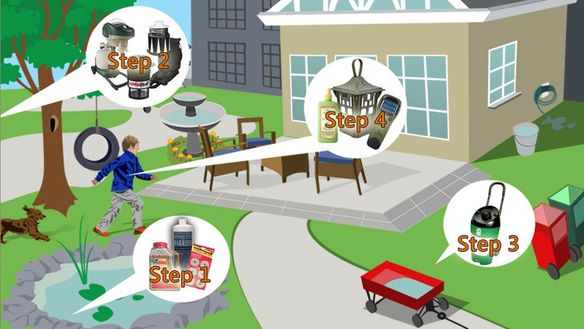 4 Steps for Preventing Mosquito Borne Diseases and the Zika Virus