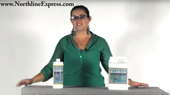 All-Natural Protection Against Fleas and Ticks