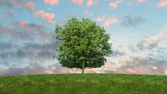 Fill your Backyard with Eco-Friendly Products