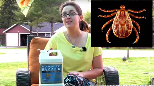 Protect your Property from the Threat of Ticks with All-Natural Mosquito Barrier