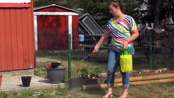 Repelling Mosquitoes on the Campsite without Smelling like a Can of Bug Spray