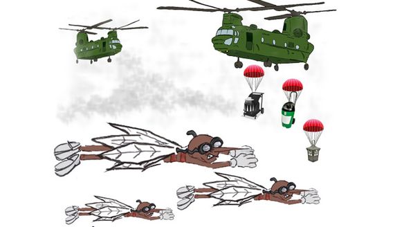 Top 10 Products for Battling the War against Flying Insects