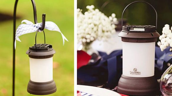 Ways to Incorporate Mosquito Control into Planning for your Outdoor Wedding