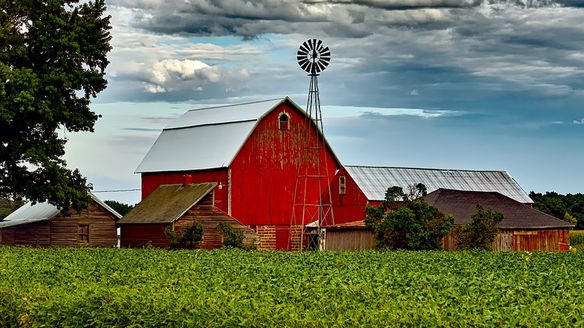 What You Need to Know to Protect Your Farm from the Threat of Mosquitoes