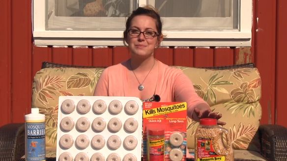 Eliminate Mosquito Larvae and Stop Your Mosquito Problem Before it Even Begins