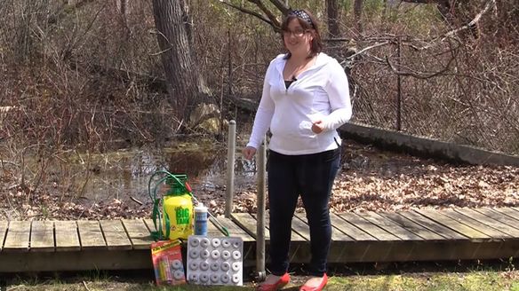 How to Take Charge of Your Problem with Mosquitoes in 4 Easy Steps