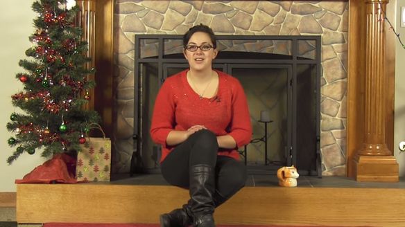 Fireplace Screens and Tool Sets Promotion -  Last Day of the 12 Days of Christmas Savings