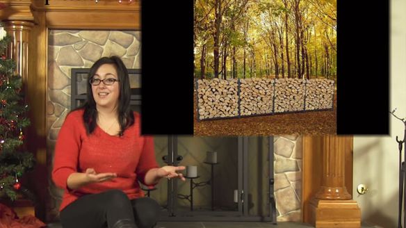 WoodEze Firewood Rack Promotion - Day 8 of the 12 Days of Christmas Savings