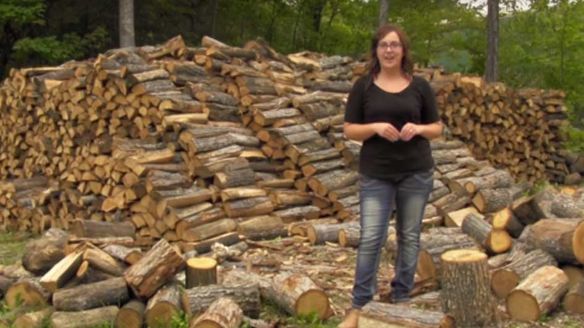 Get The Most Bang For Your Buck When Purchasing Firewood