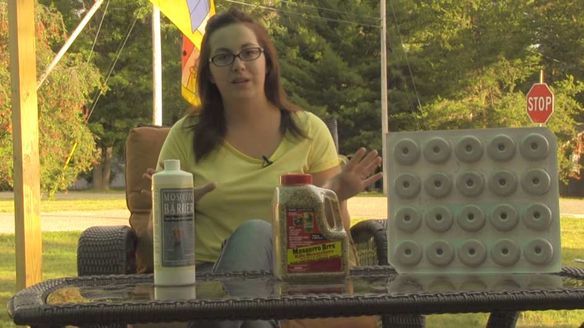 Larvacides are the First Step in Reclaiming Your Backyard From Mosquitoes