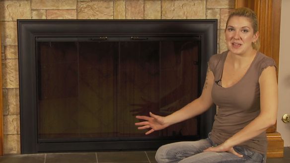 Product Review of the Celebrity Stock Fireplace Door by Thermo-Rite