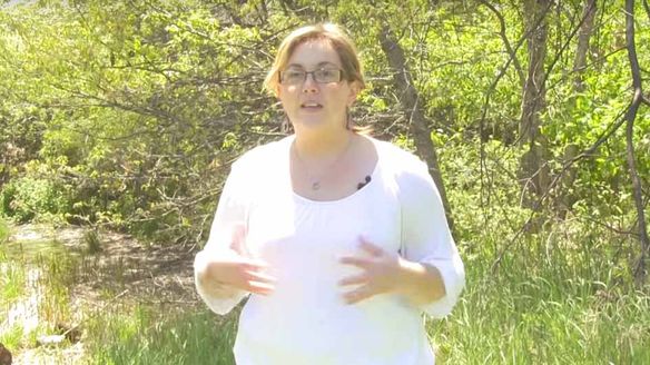 Step 1 To Ultimate Mosquito Control - How to Kill Mosquito Larvae