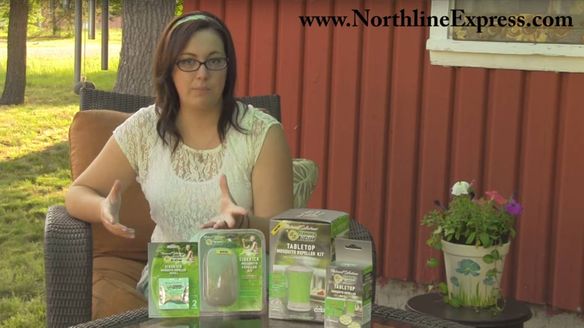 Terminix All Clear July Promotion offered by NorthlineExpress.com