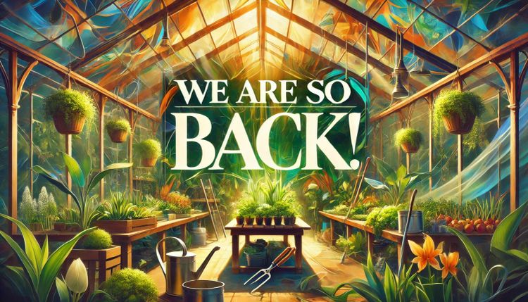 February #9: We are so back!