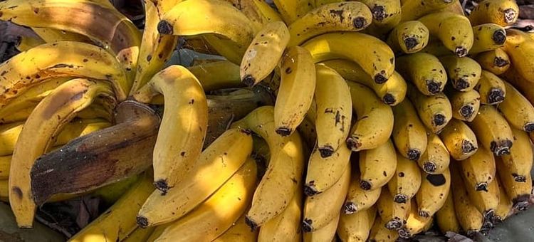 Shorts #2: At least four things about bananas I consider interesting