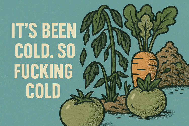 May #12: Fool's errand