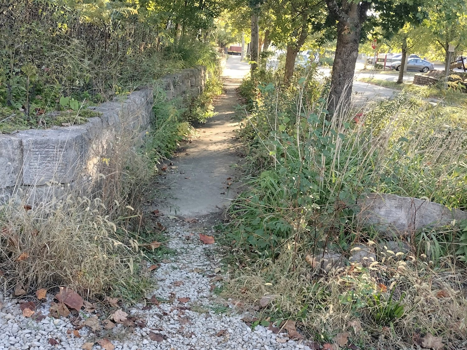 A narrow,  concrete sidewalk with vegetation overgrowing it.