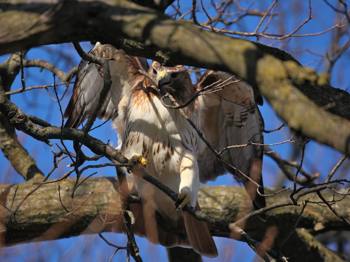 Editor's Notebook: Building a nest for a B Square relaunch