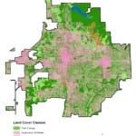 New tree study for Bloomington measures canopy at 38 percent, climate strikers demand 60 percent