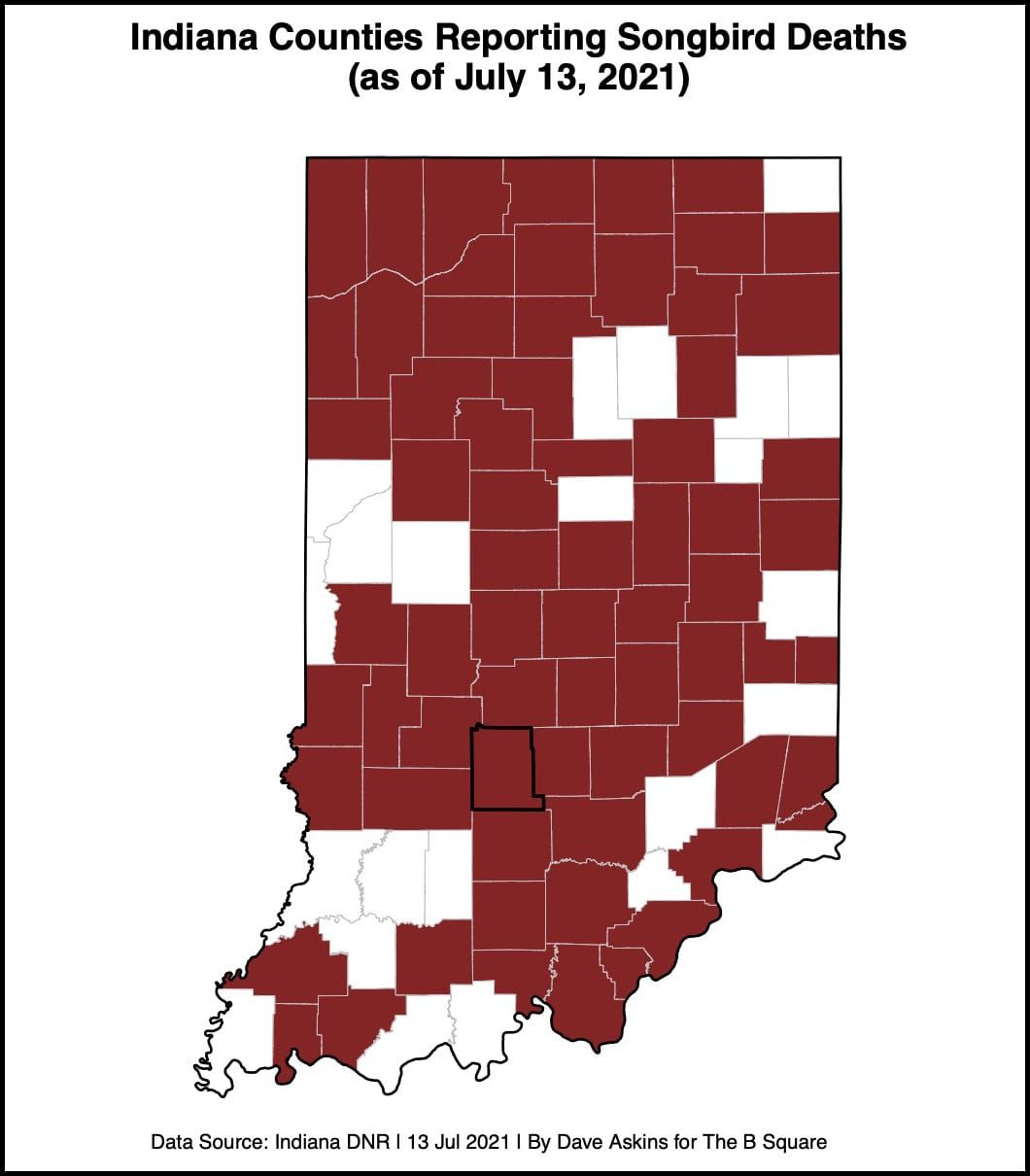 No conclusions yet on songbird deaths as Indiana adds to number of species and counties affected