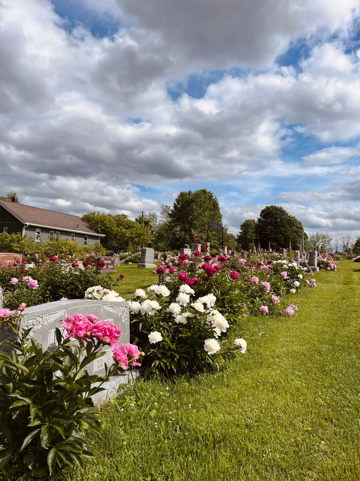 4th Street & Elm Street (Rose Hill Cemetery)