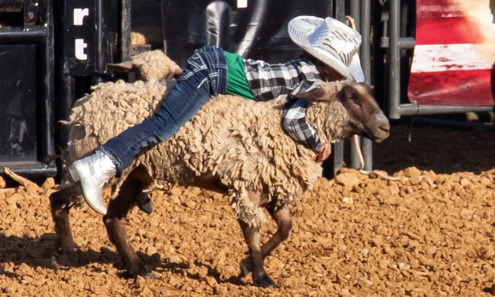 Photos: Monroe County Fair rodeo, from mutton busting to barrel racing