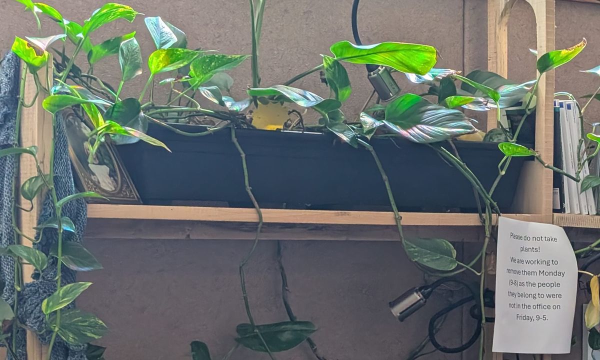 7th Street & College Avenue