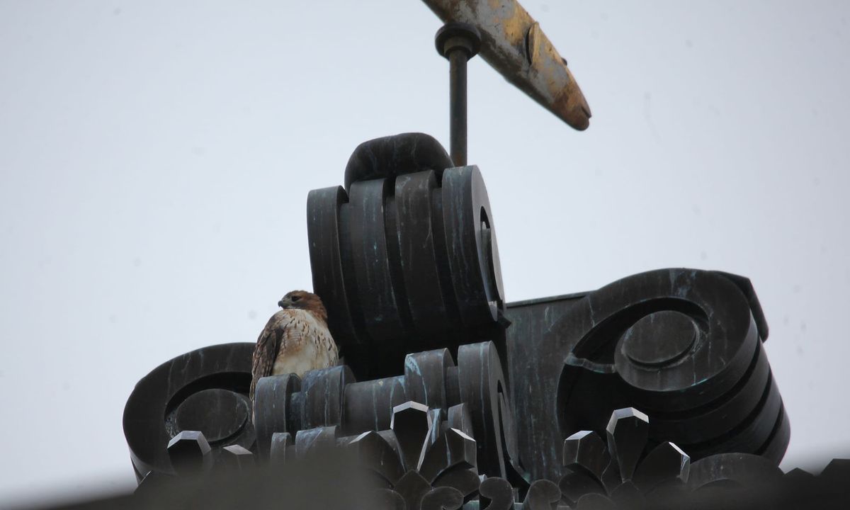 Monroe County historic courthouse
