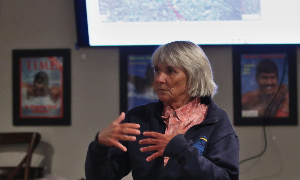 One-story jail design is ‘necessary,’ Monroe County commissioner tells Rotarians