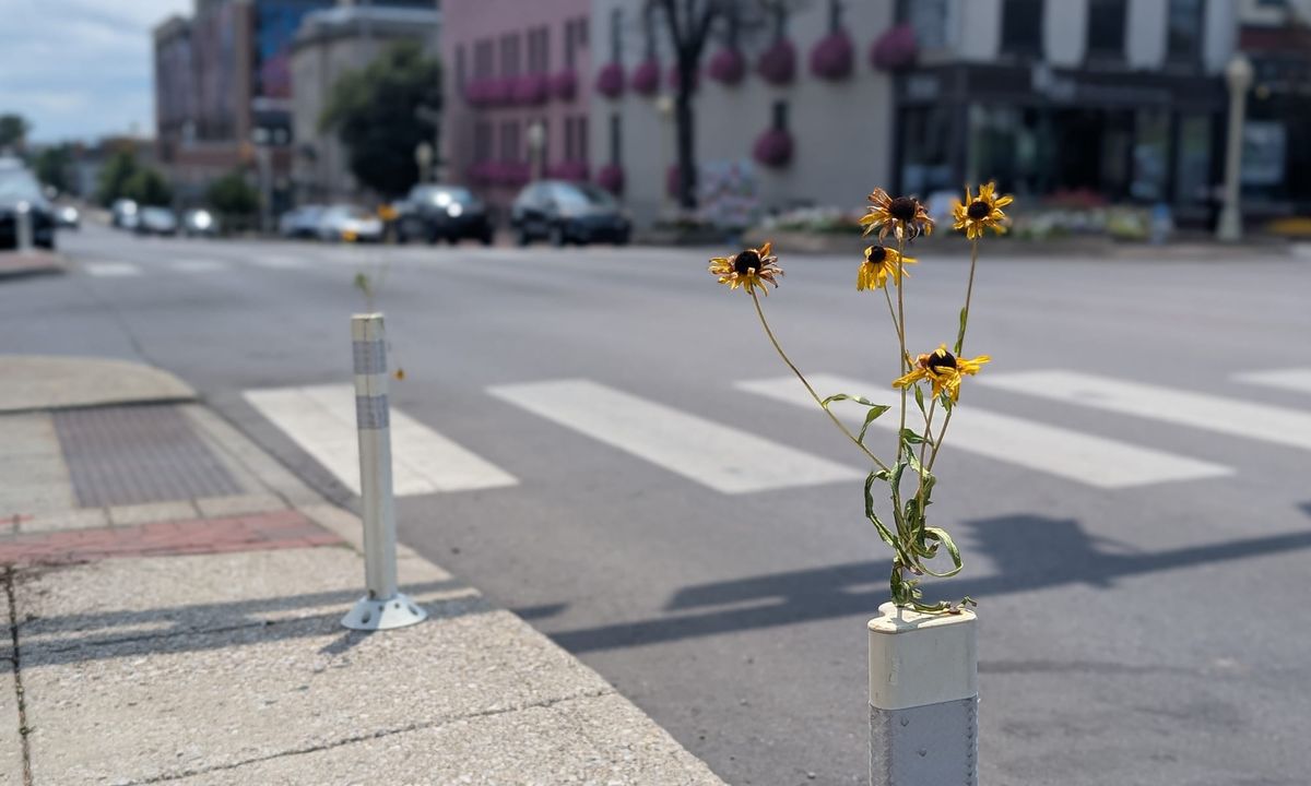 Walnut Street & Kirkwood Avenue