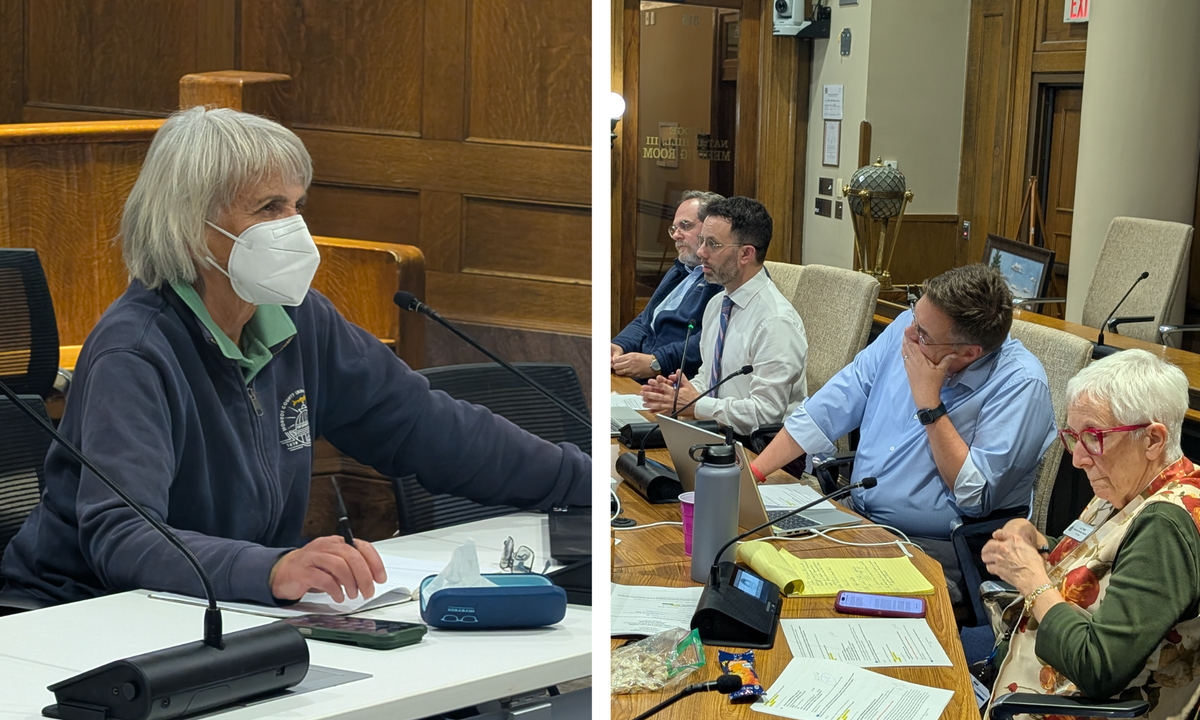 Monroe County cuts GO bonds to $3.1M, but leaves project list intact