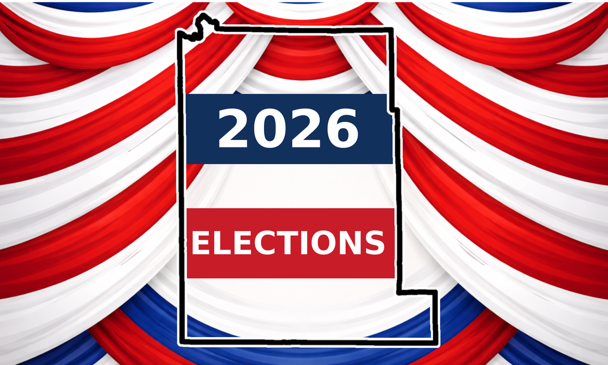 Monroe County election board reviews problems with accessible ballot system