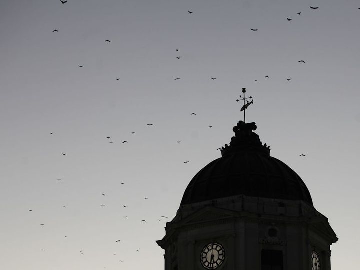 Beacon Benchmark: Crows make for terrible poetry
