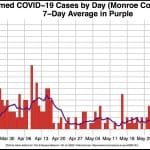 Monroe County like rest of state: Bump in COVID-19 numbers somewhat outpaces testing; deaths, hospitalizations declining