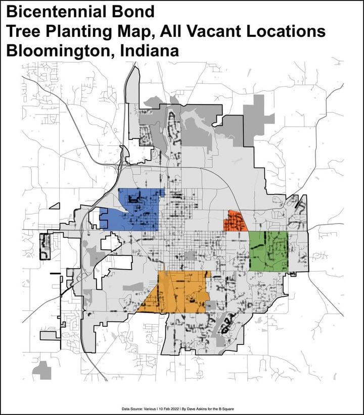 Bloomington looks to carry out $800K plan for public tree planting in spring, fall 2022