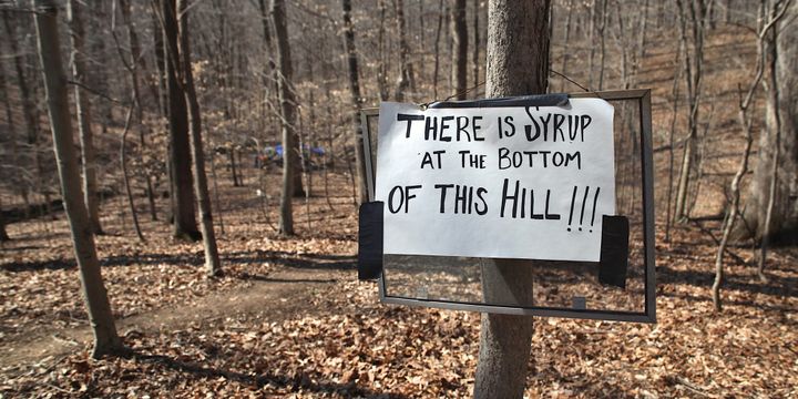 Photos: “There is syrup at the bottom of this hill !!!”